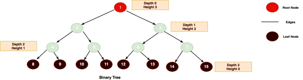 Binary Trees Terminology